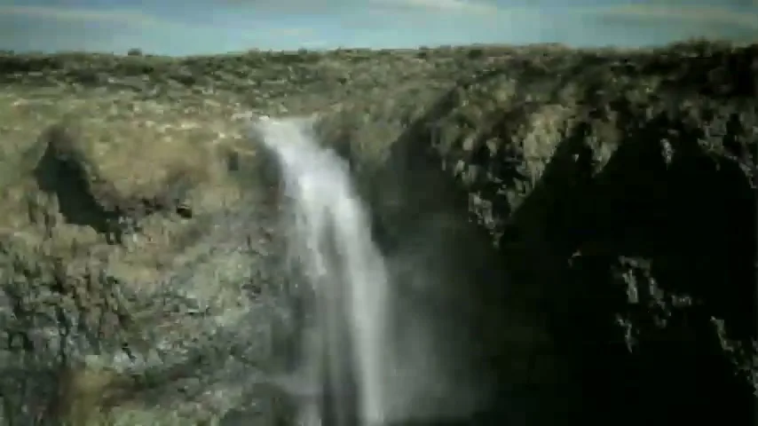 Guinness “noitulovE” (2005), frame 5