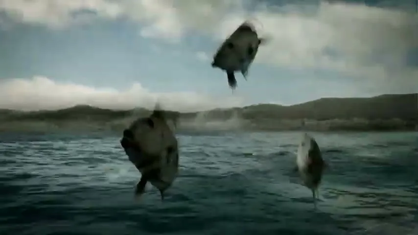 Guinness “noitulovE” (2005), frame 6