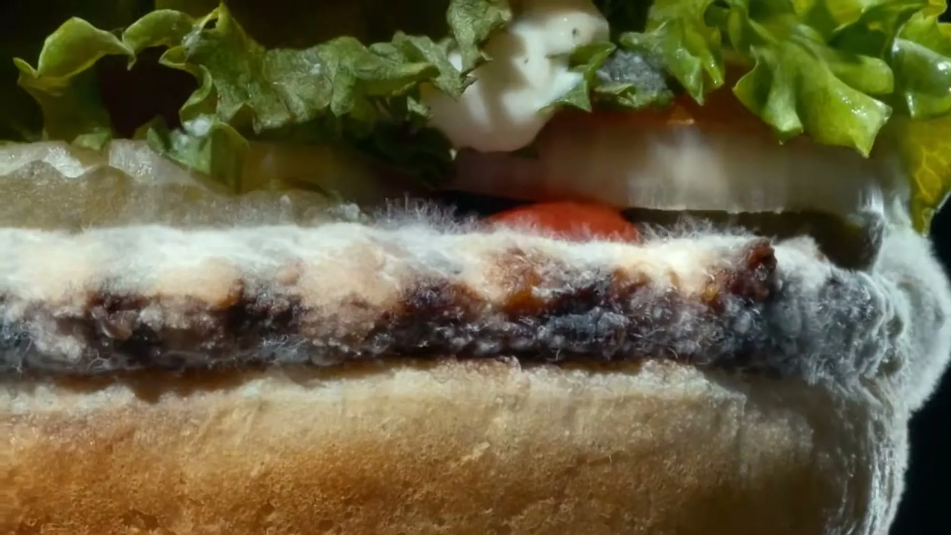 Burger King “Moldy Whopper” (2020), frame 3