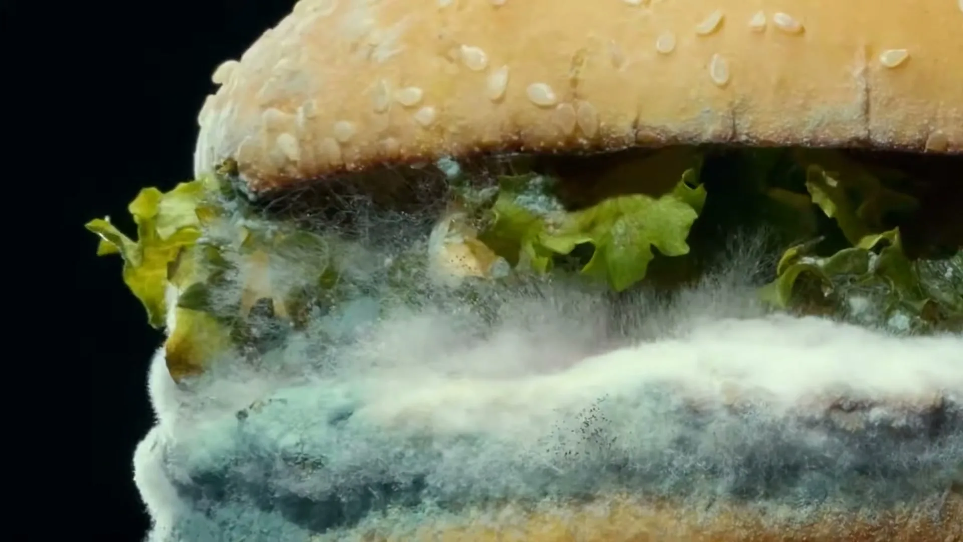 Burger King “Moldy Whopper” (2020), frame 4