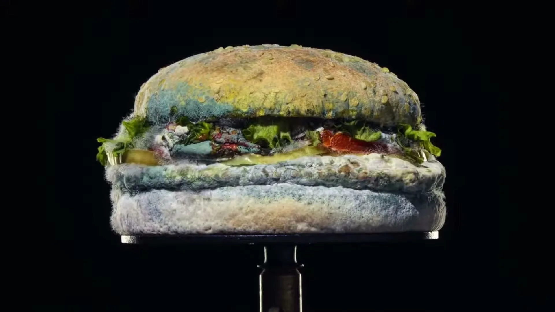 Burger King “Moldy Whopper” (2020), frame 5