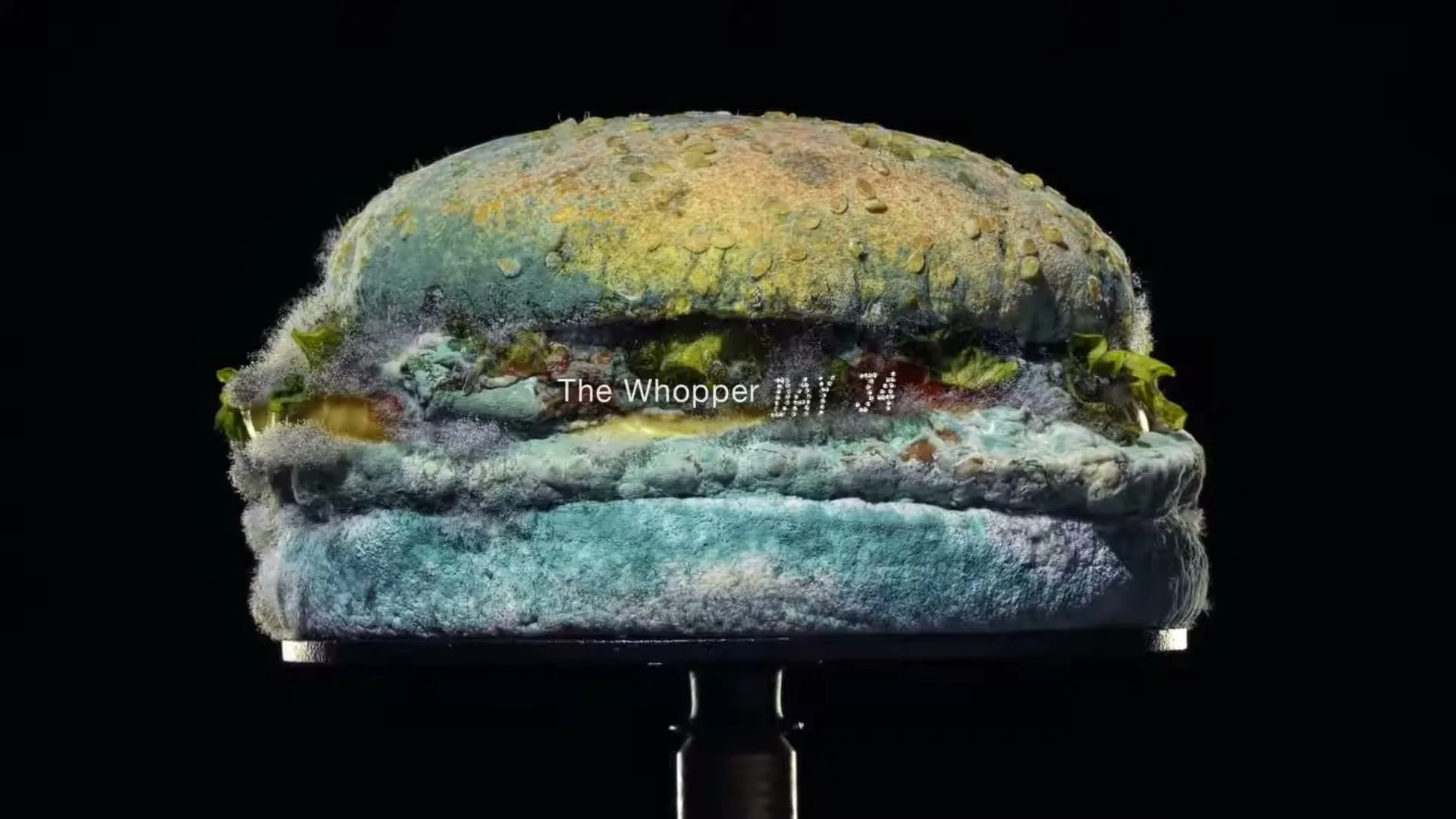 Burger King “Moldy Whopper” (2020), frame 6