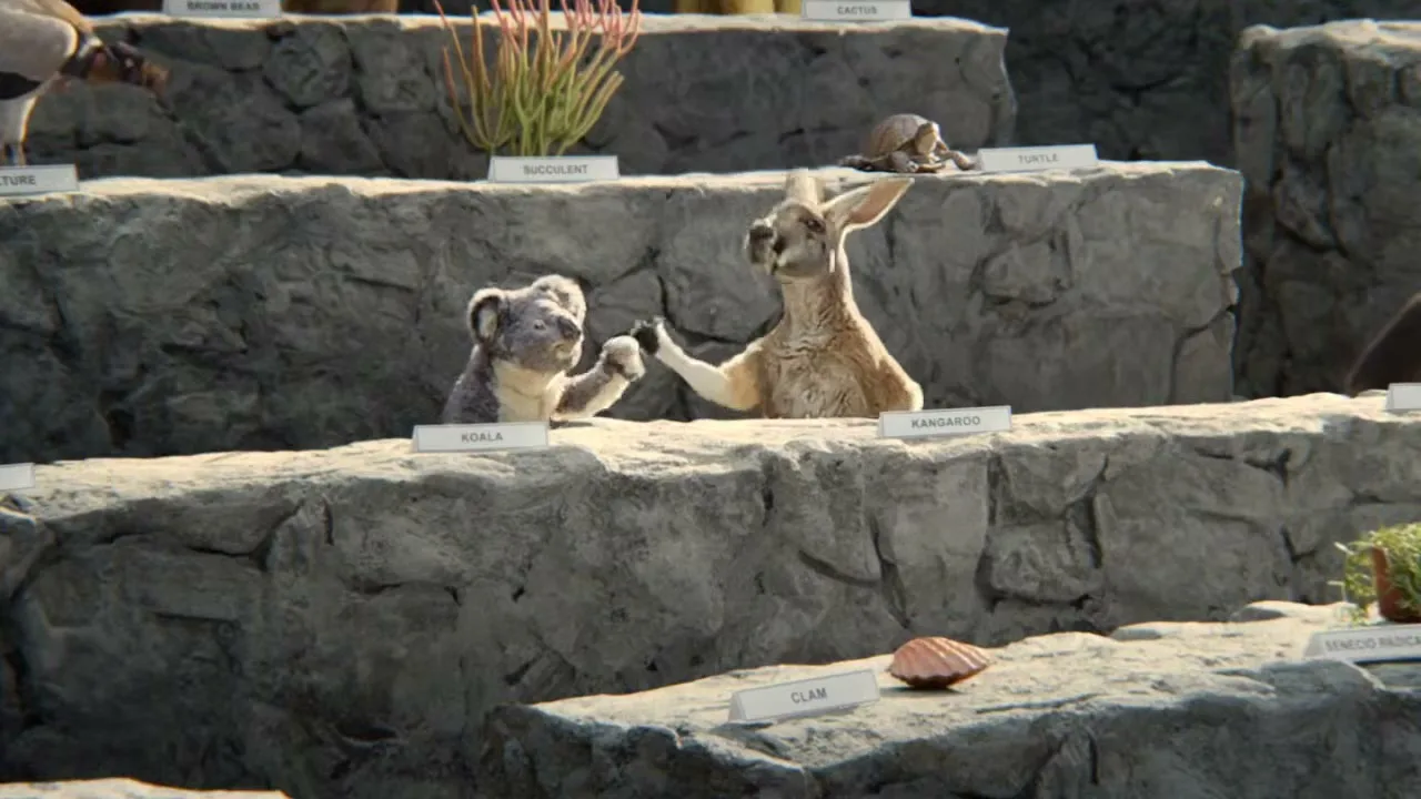 A koala and a kangaroo, both with name tags, are seen on a rocky display, with the kangaroo appearing to speak.