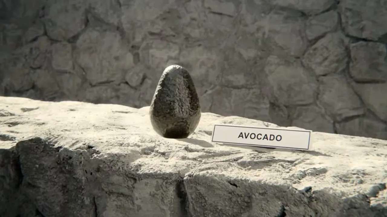 A single avocado sits on a rocky ledge with a small sign next to it that reads "AVOCADO".