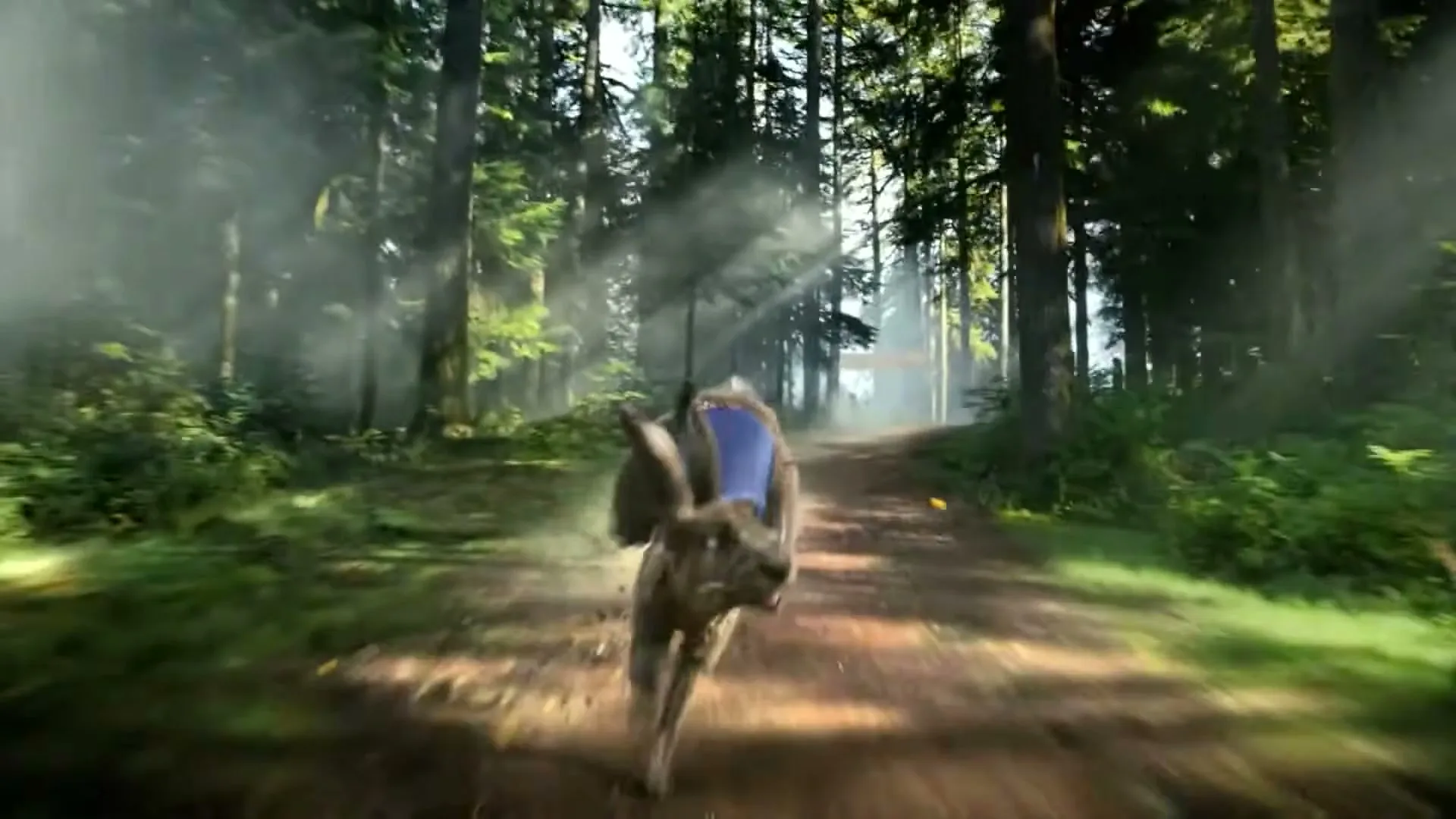 A rabbit with a blue backpack runs away from the camera down a sun-dappled forest path, kicking up dust.