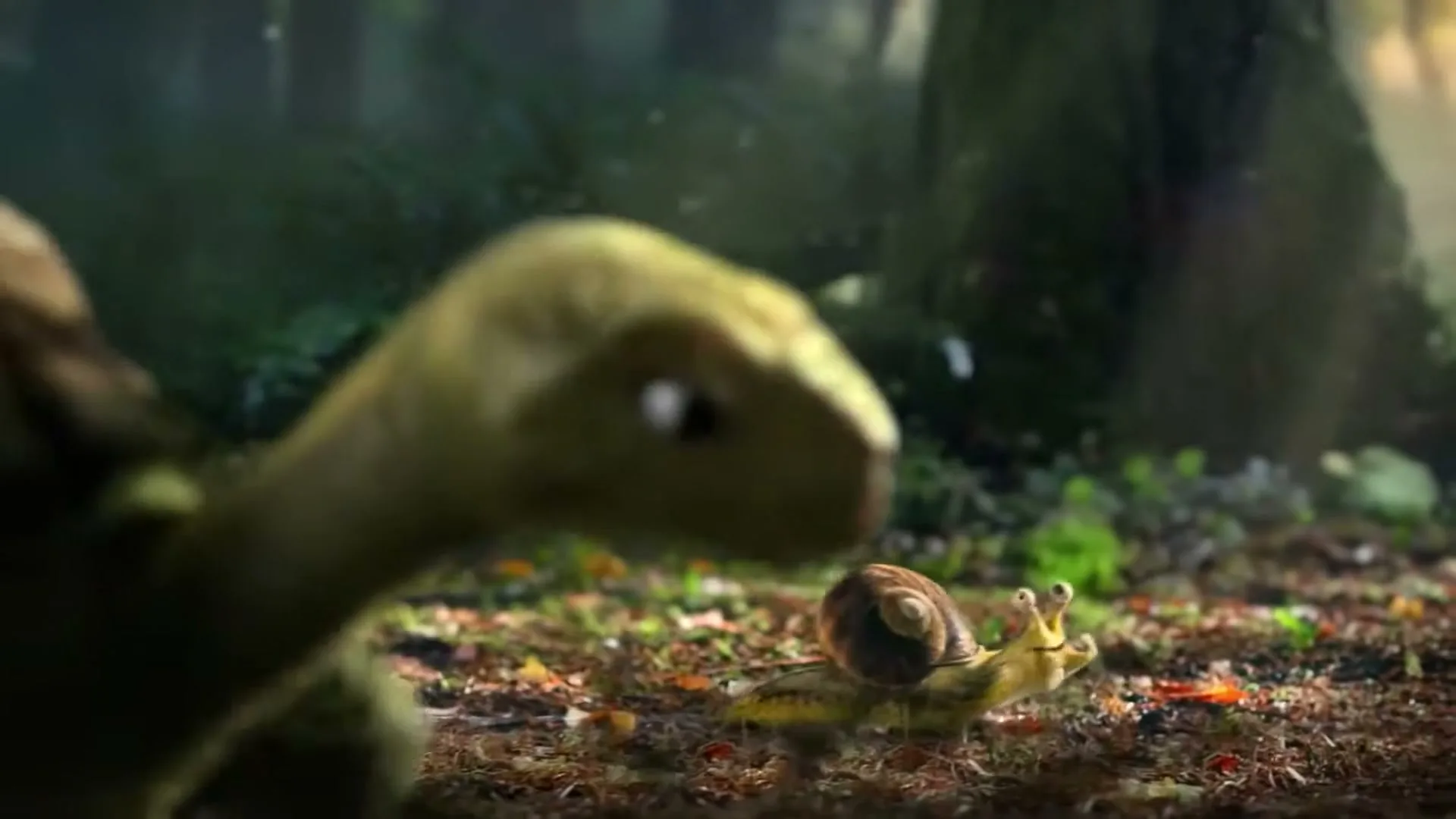 A CGI turtle with a long neck and open mouth looks surprised as a snail with large eyes quickly moves past it on a forest floor.