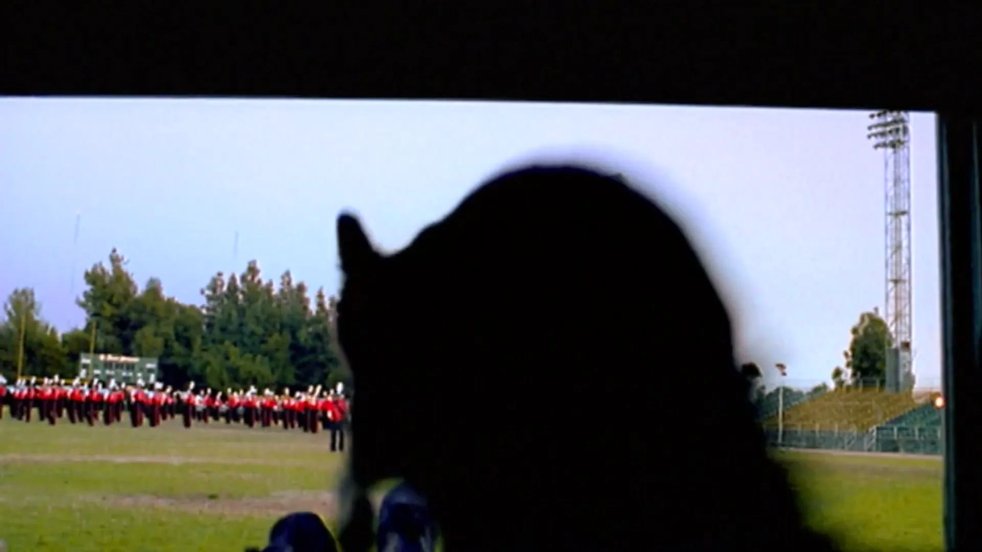 A cat's silhouette is visible in the foreground, watching a marching band on a football field on a TV screen.