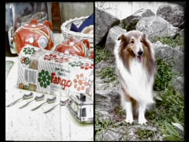 A split screen shows a family and a table with bread on the left, and a collie dog on the right, in a retro, grainy style.