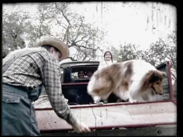 A man in a straw hat and overalls helps a collie dog jump out of the back of a pickup truck, while a woman and child watch from the truck's cab.