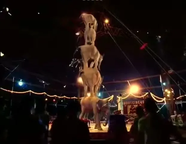 PepsiCo “Elephant Tower”, directed by Tarsem Singh