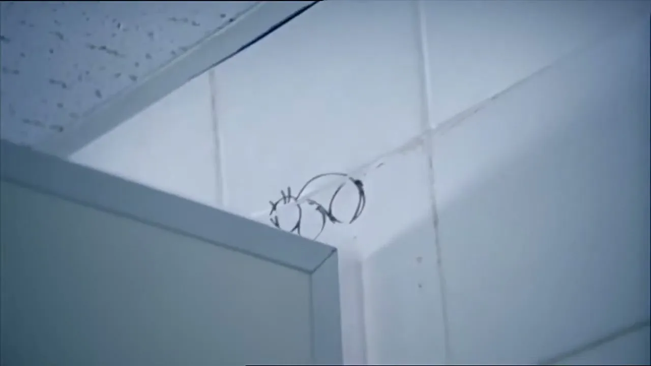 A black marker drawing of a penis appears on a white tiled wall above a bathroom stall door in a public restroom.