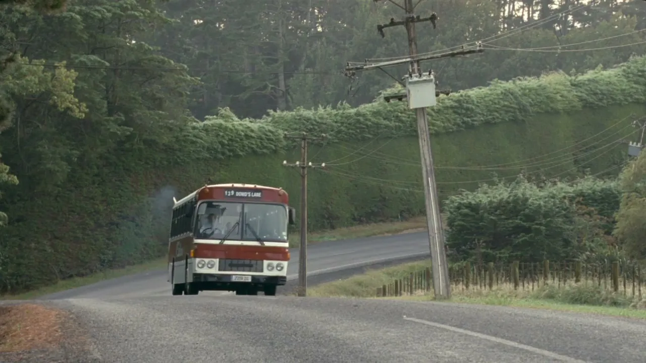 A red and white bus drives down a winding rural road, surrounded by lush green trees and power lines.