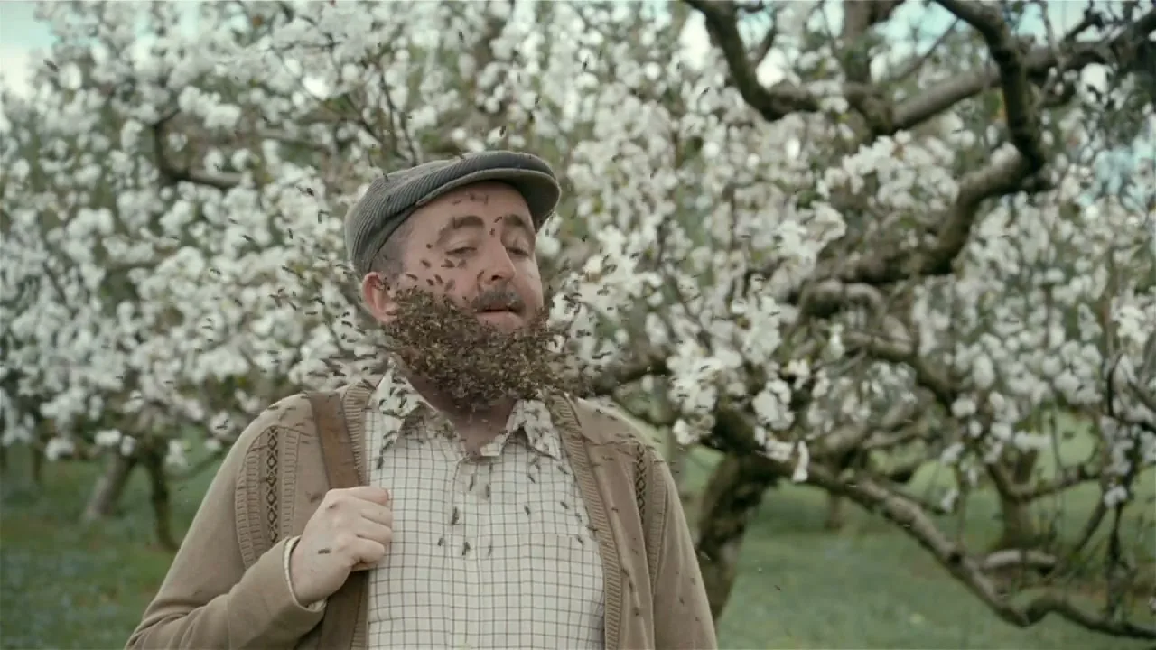 Magners "Bees" (2011) commercial still