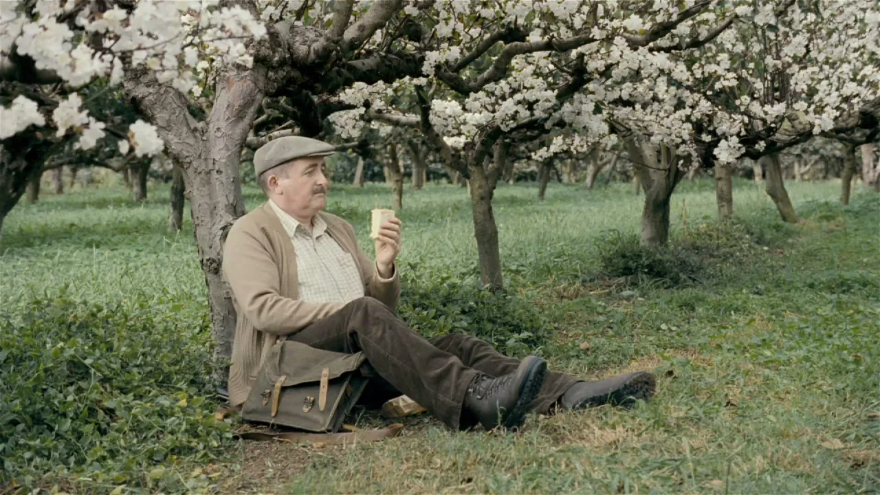 A man in a flat cap and cardigan sits under a blossoming tree in an orchard, holding a small white object, looking contemplative.