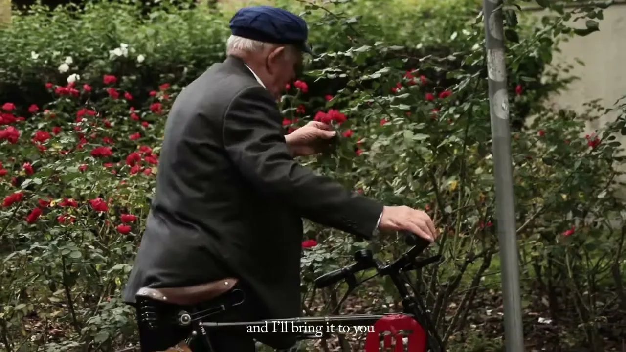 An elderly man in a suit and cap, riding a bicycle, stops to pick a red rose from a bush on the side of a street.
