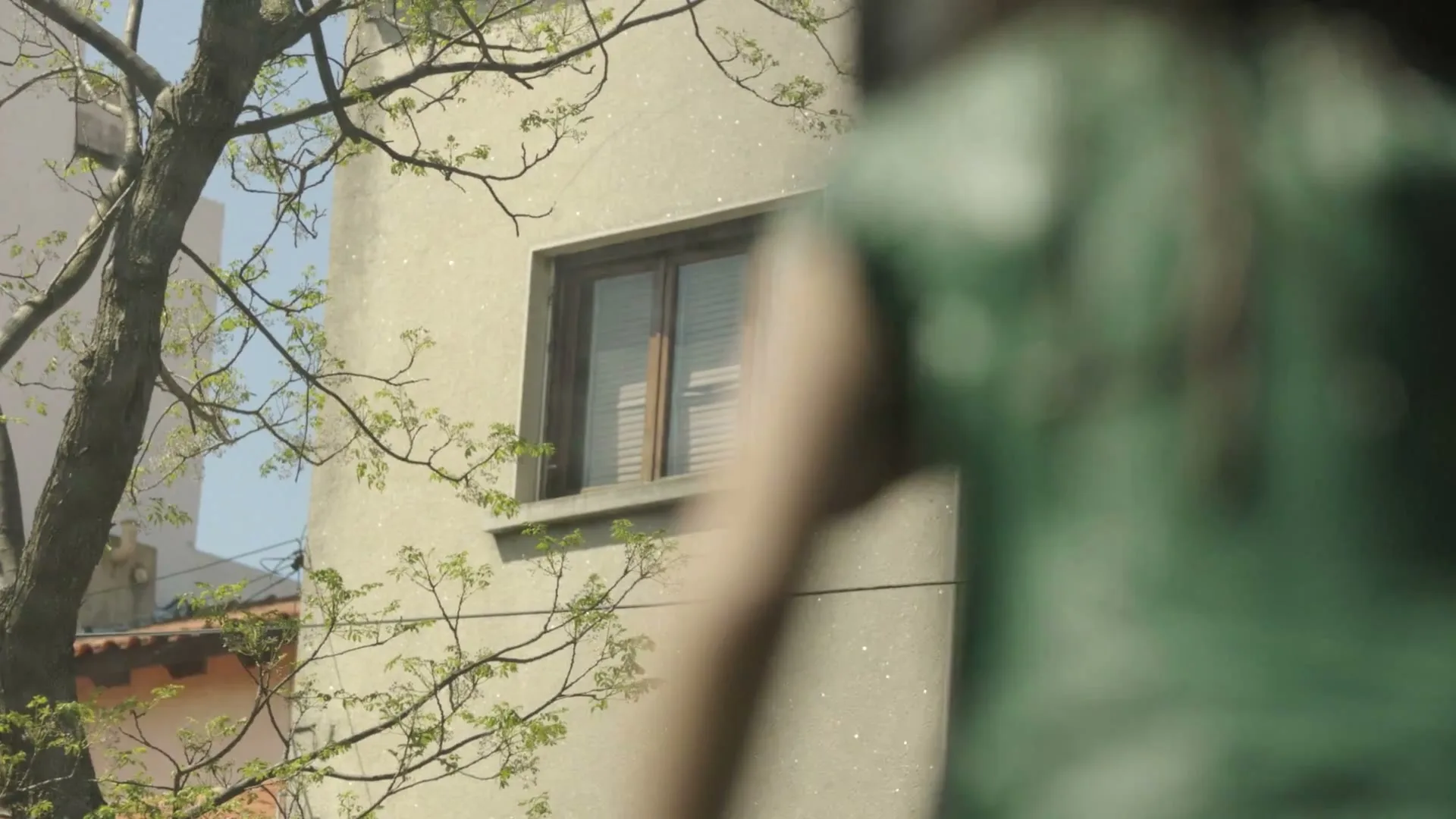 A blurry person in a green shirt is seen from behind, looking at a building with a window and tree branches in the foreground on a sunny day.