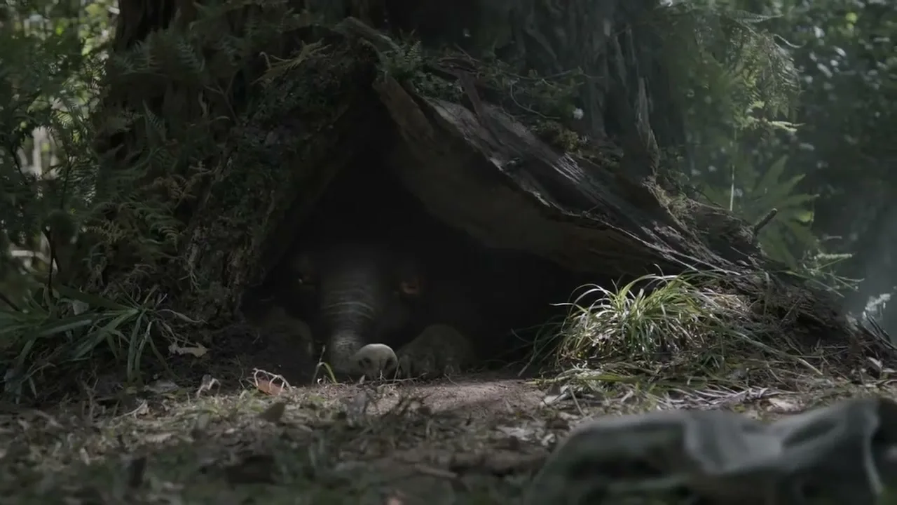 World Wildlife Fund (WWF) "Dolyphan" (2013) commercial still