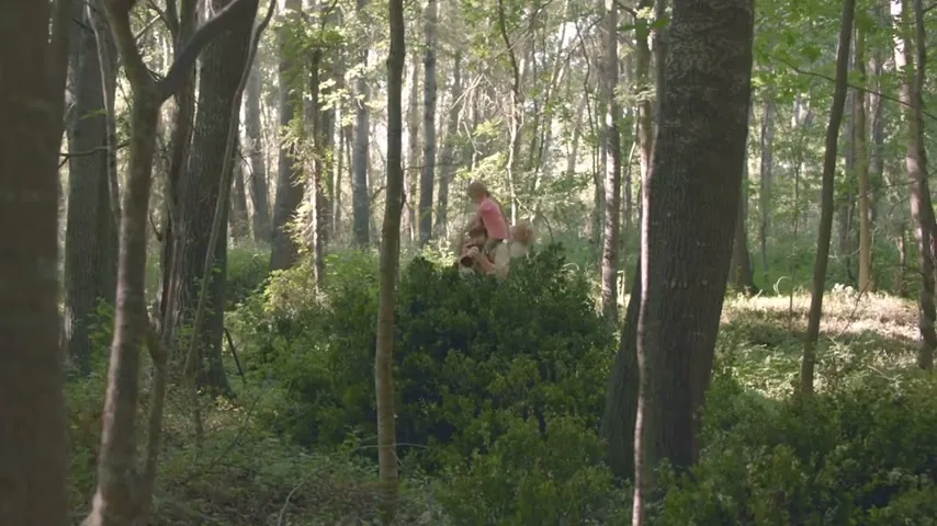 A young boy in a pink shirt and a girl in a white dress play in a dense green bush in a sunlit forest.