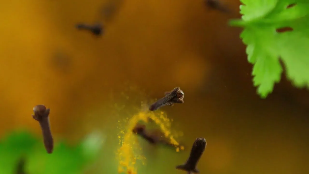 Schwartz “Schwartz - the Sound of Taste” (2014), frame 5