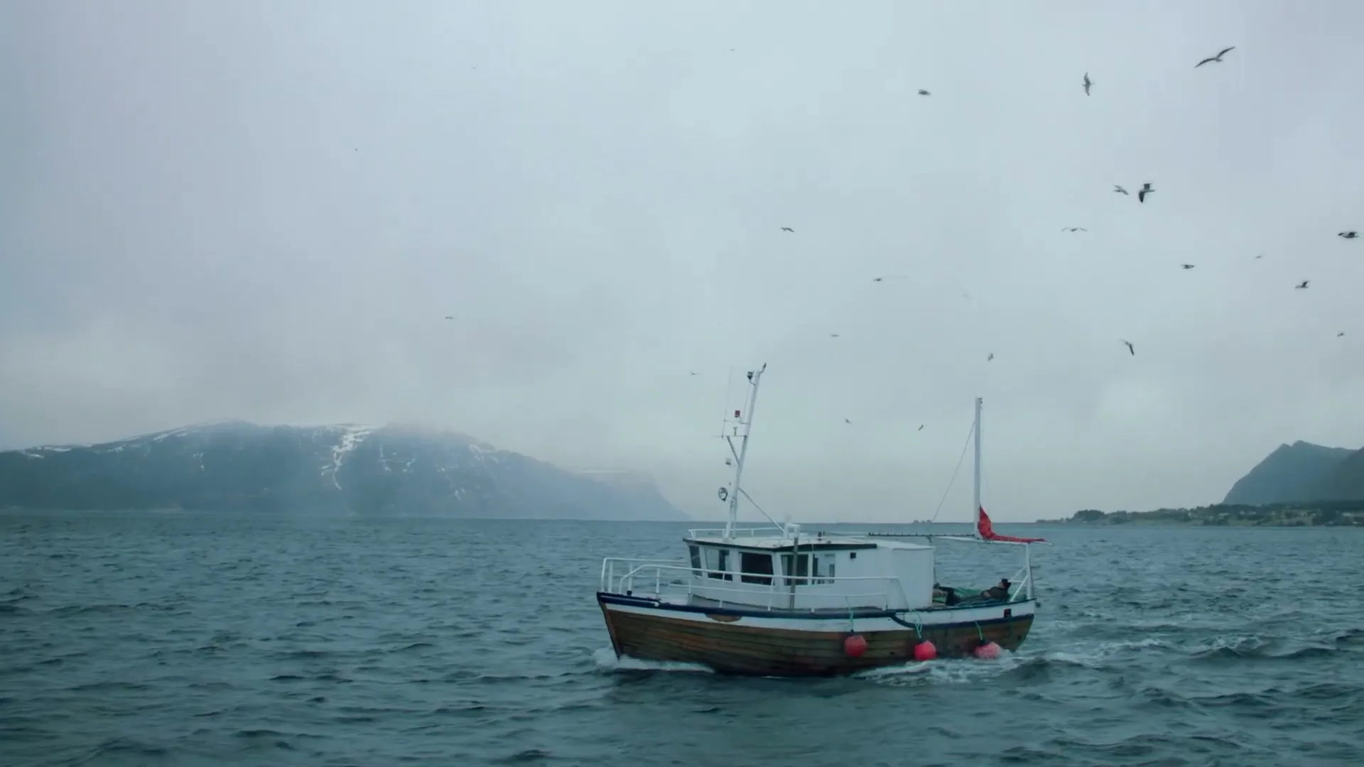 A small fishing boat with a white cabin and wooden hull moves through choppy grey water, with snowy mountains and a flock of birds in the background.