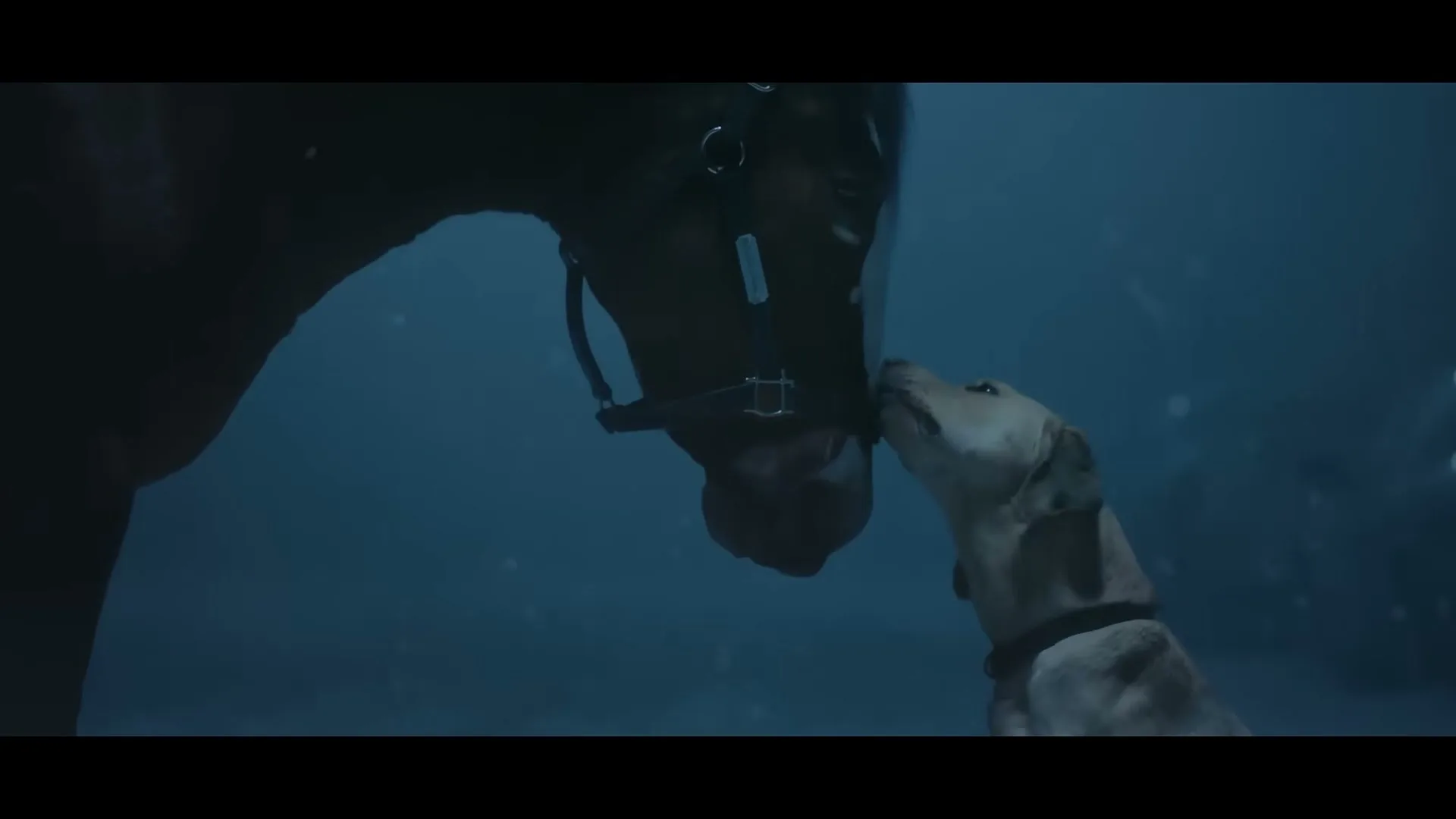Budweiser "Old School Delivery" (2024) commercial still