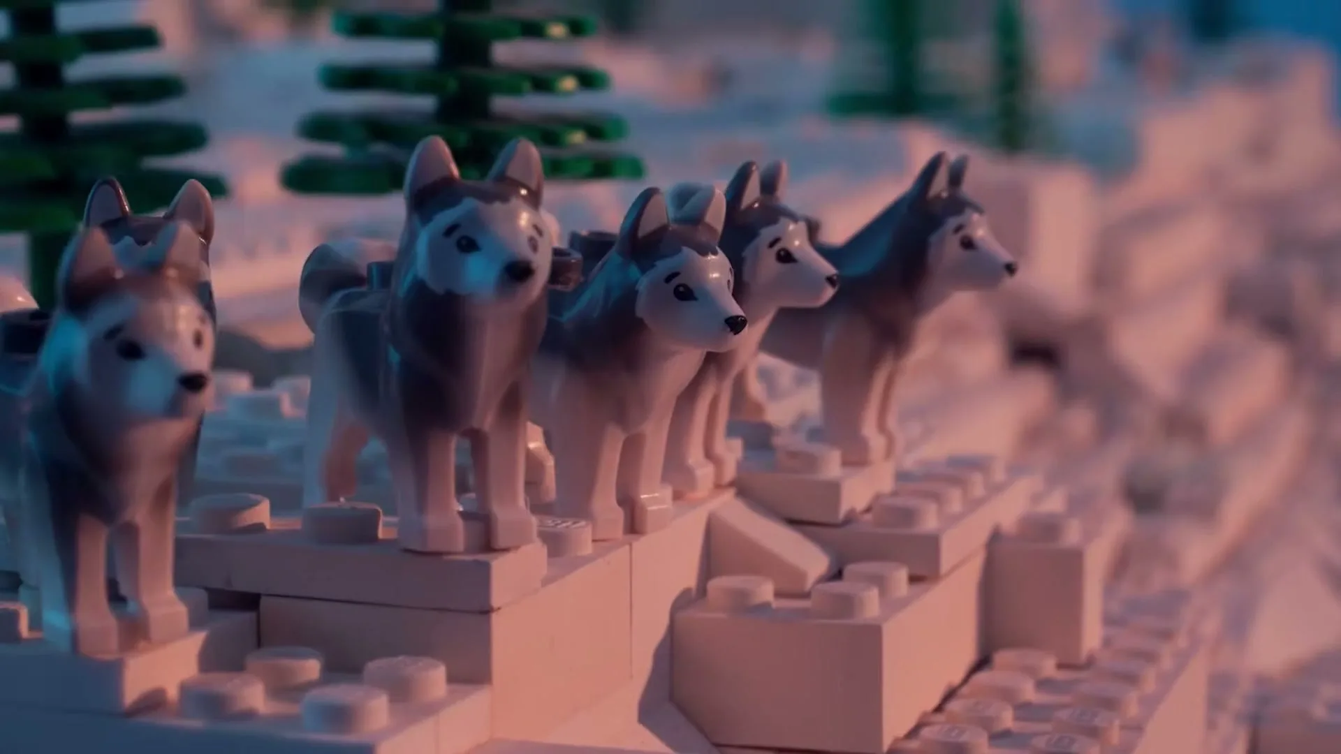 A group of Lego husky dogs stand on a snowy Lego landscape with green Lego trees in the background.