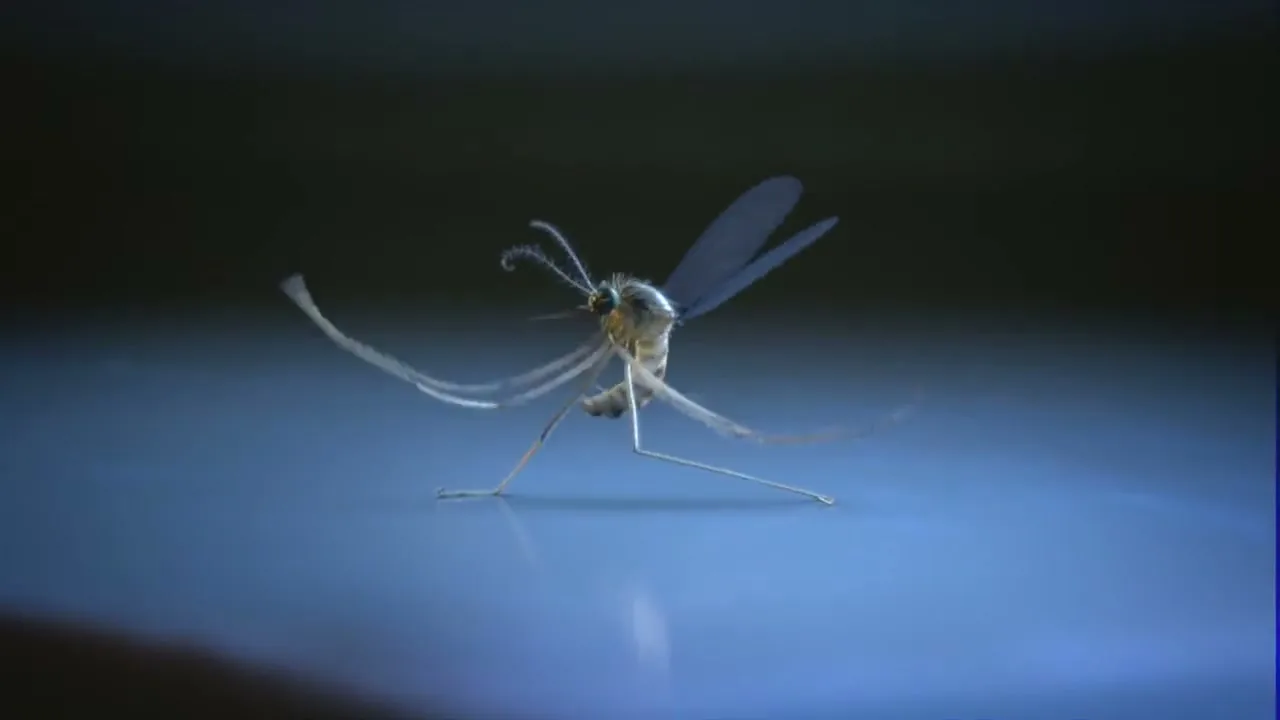 Johnson & Johnson “Breakdance” (2015), frame 4