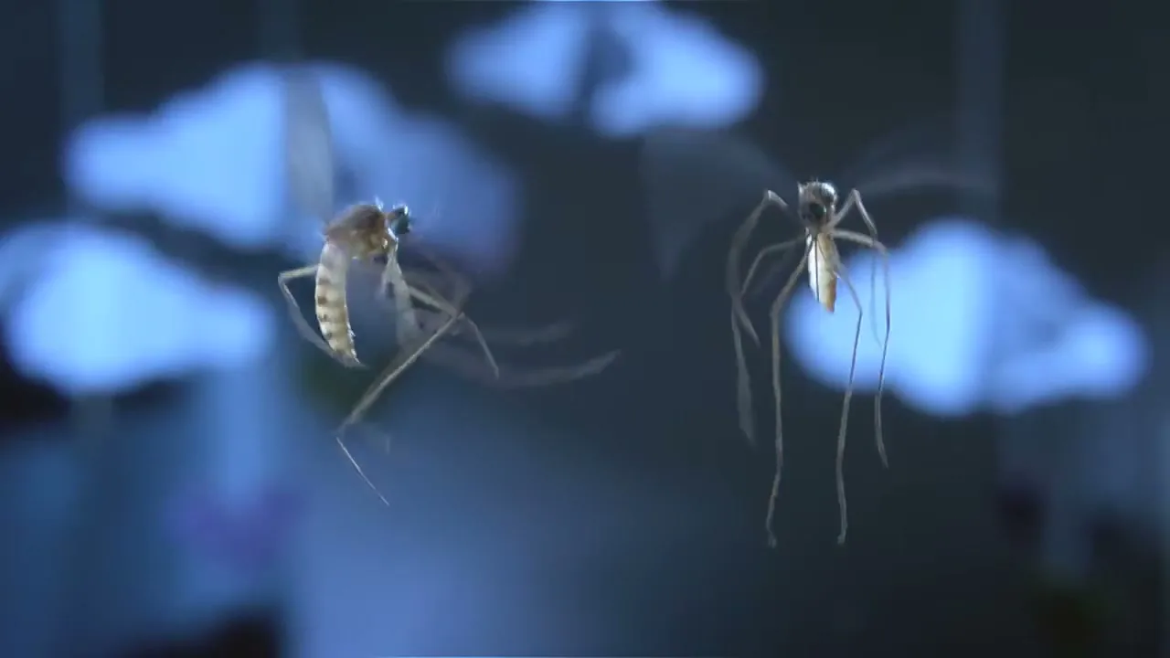 Johnson & Johnson “Breakdance” (2015), frame 5