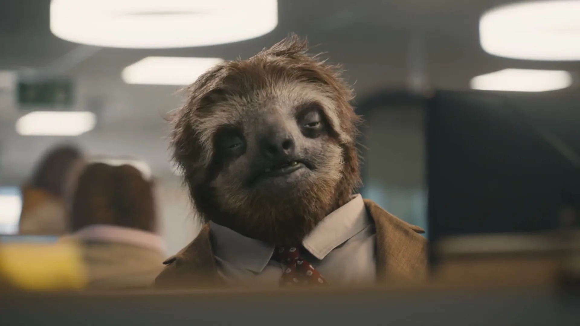 A sloth in a suit looks tired and slow, staring directly at the camera from behind a desk in a brightly lit office.