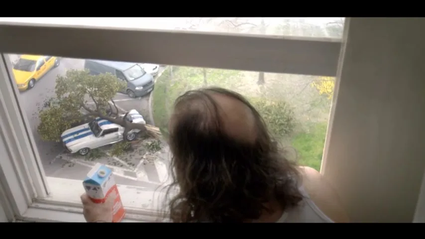 A man with long hair and a bald spot looks out a window at a street where a tree has fallen on a white car.