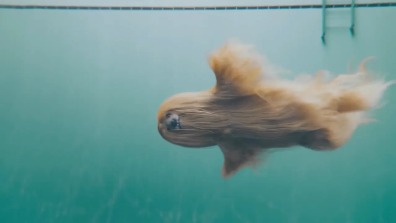 Klarna “The Swim”, shot 1