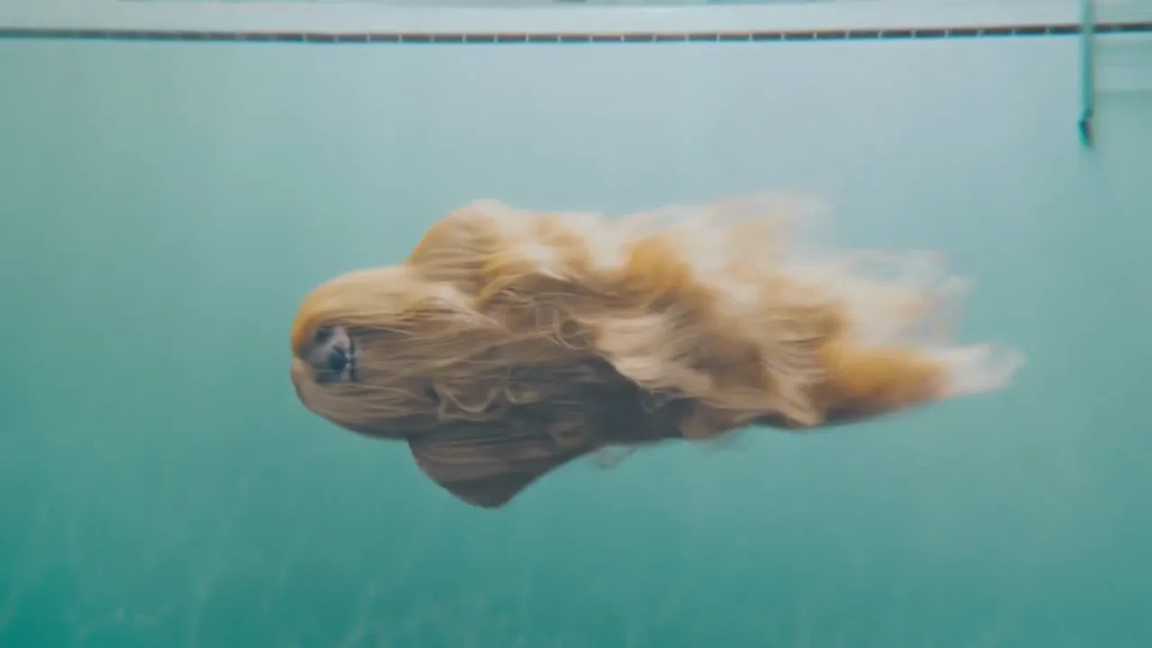 Klarna “The Swim”, shot 1