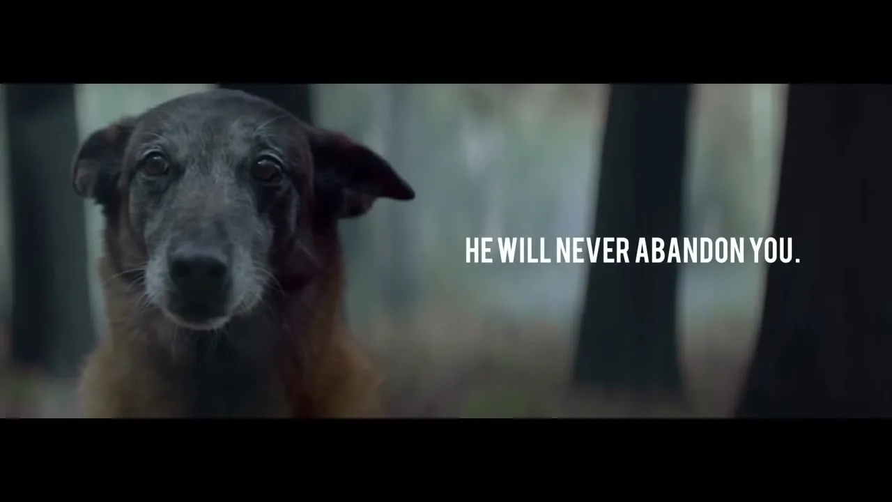 30 Millions D'amis "#Donotabandon" (2017) commercial still
