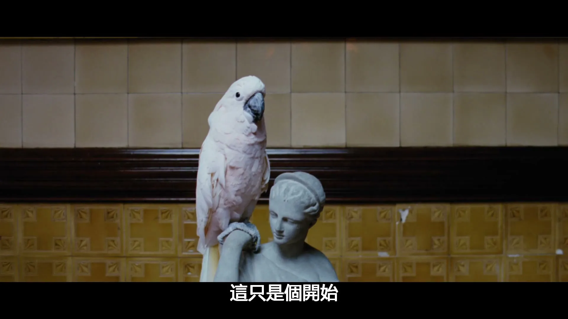 A white cockatoo perches on a classical statue of a woman, against a tiled wall.
