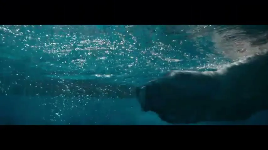 An underwater shot shows a swimmer's arm and torso as they move through the water, creating bubbles.