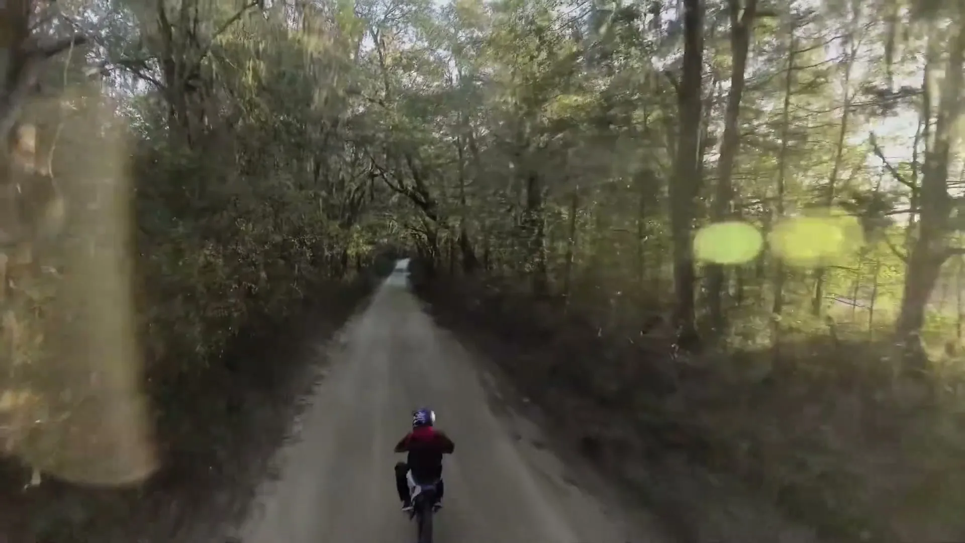 A person on a dirt bike rides down a long, tree-lined dirt road, with sunlight filtering through the leaves.