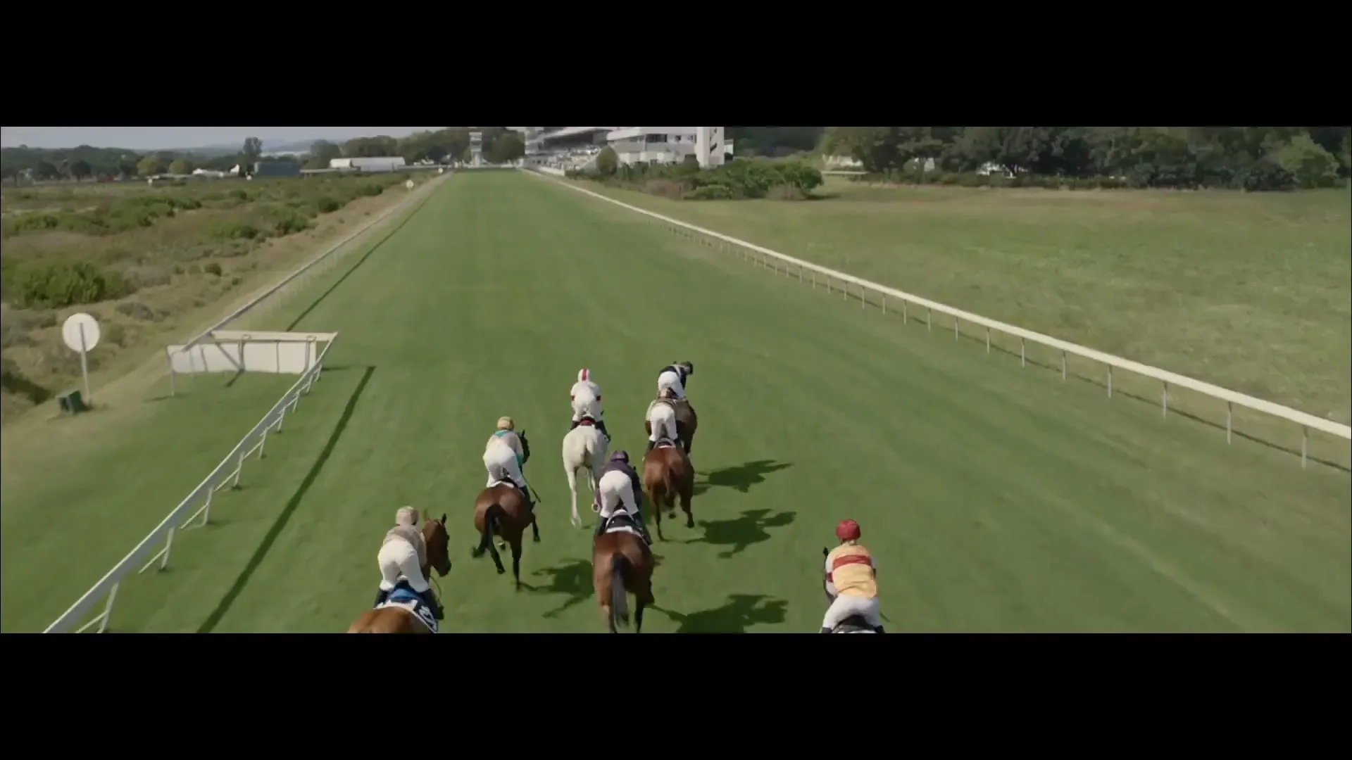 Pmu “Pmu - the Calling” (2019), frame 6
