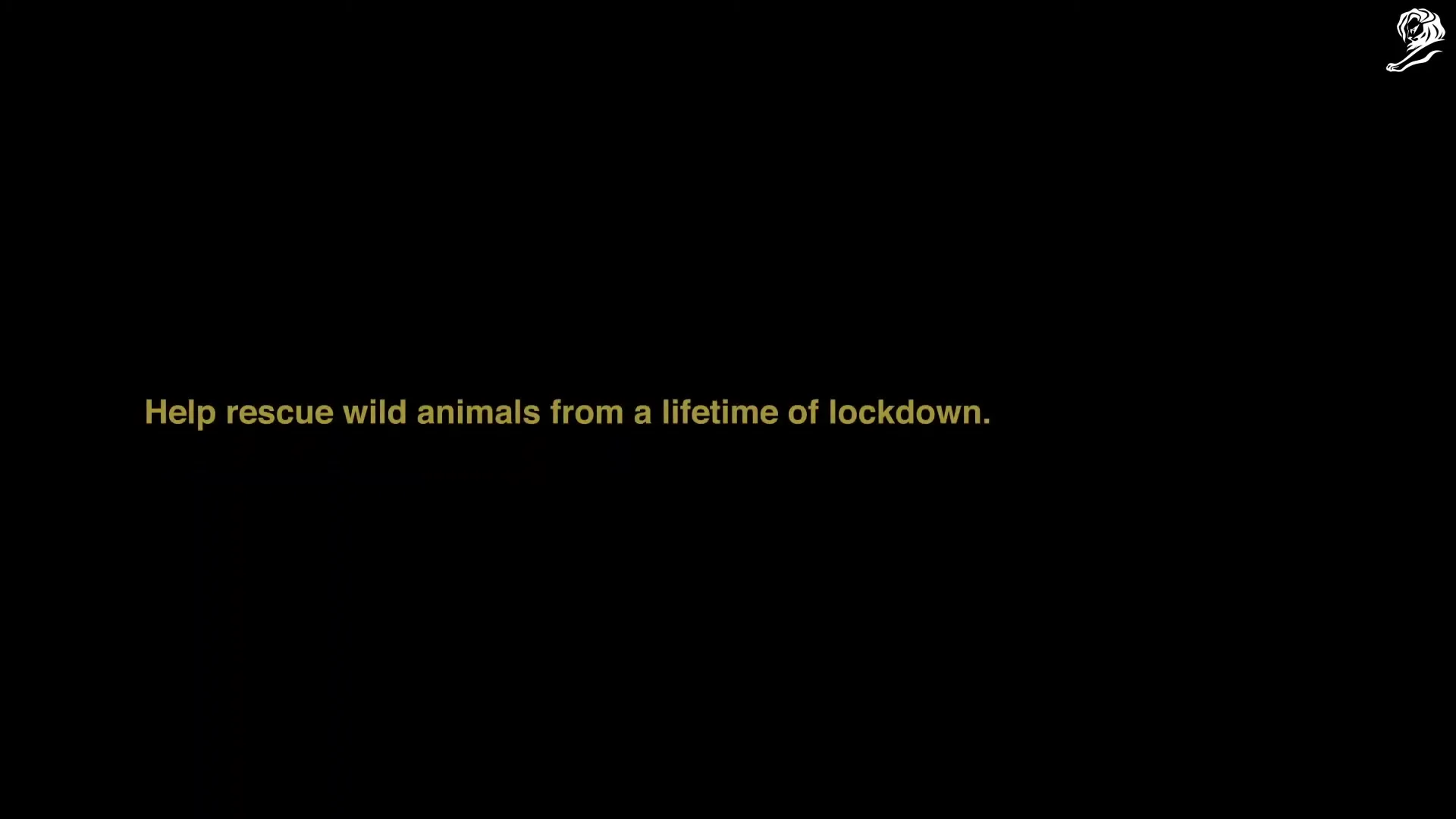 Born Free Foundation "Creature Discomforts: Life in Lockdown" (2021) commercial still
