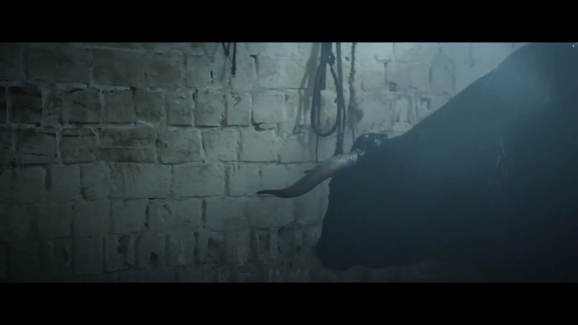 30 Millions D'amis Fondation “The Cry” (2022), frame 4
