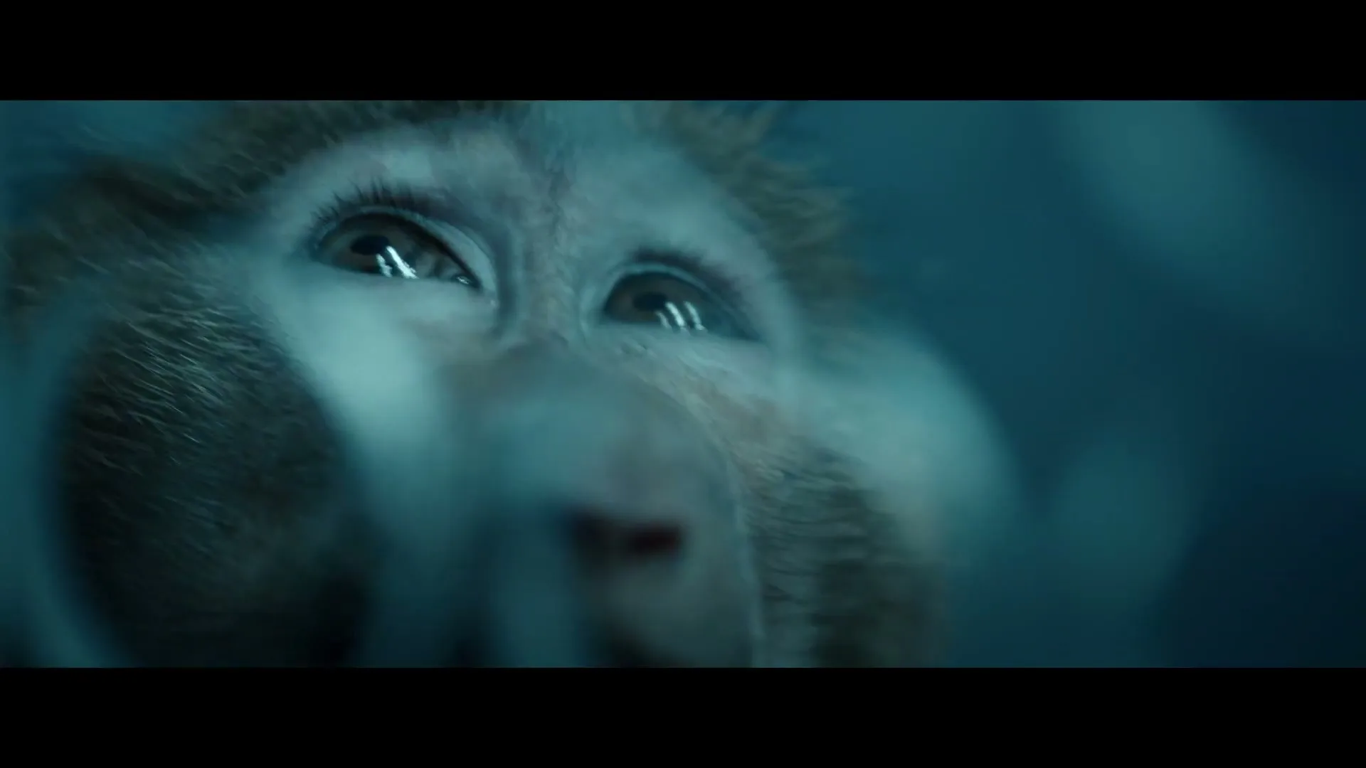 30 Millions D'amis Fondation “The Cry” (2022), frame 5