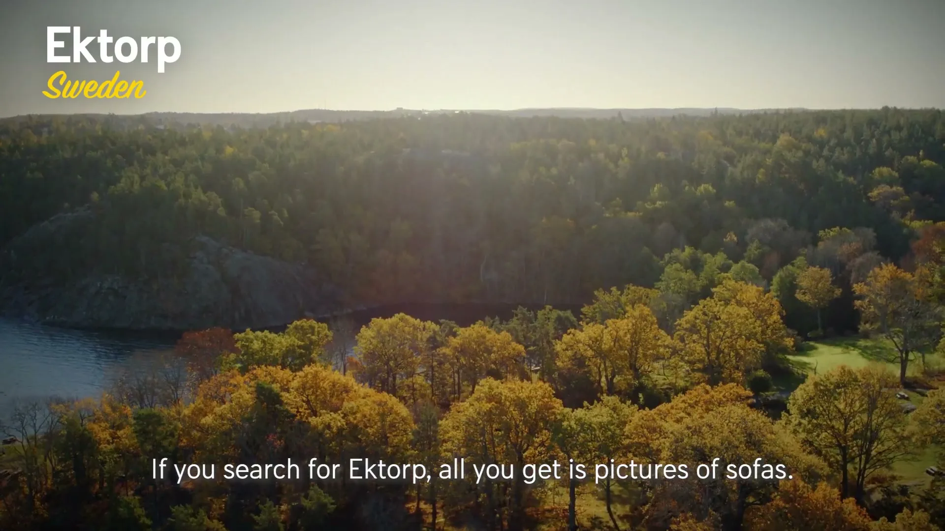 An aerial view of a vast forest with autumn foliage and a body of water, under a bright sky with a lens flare.
