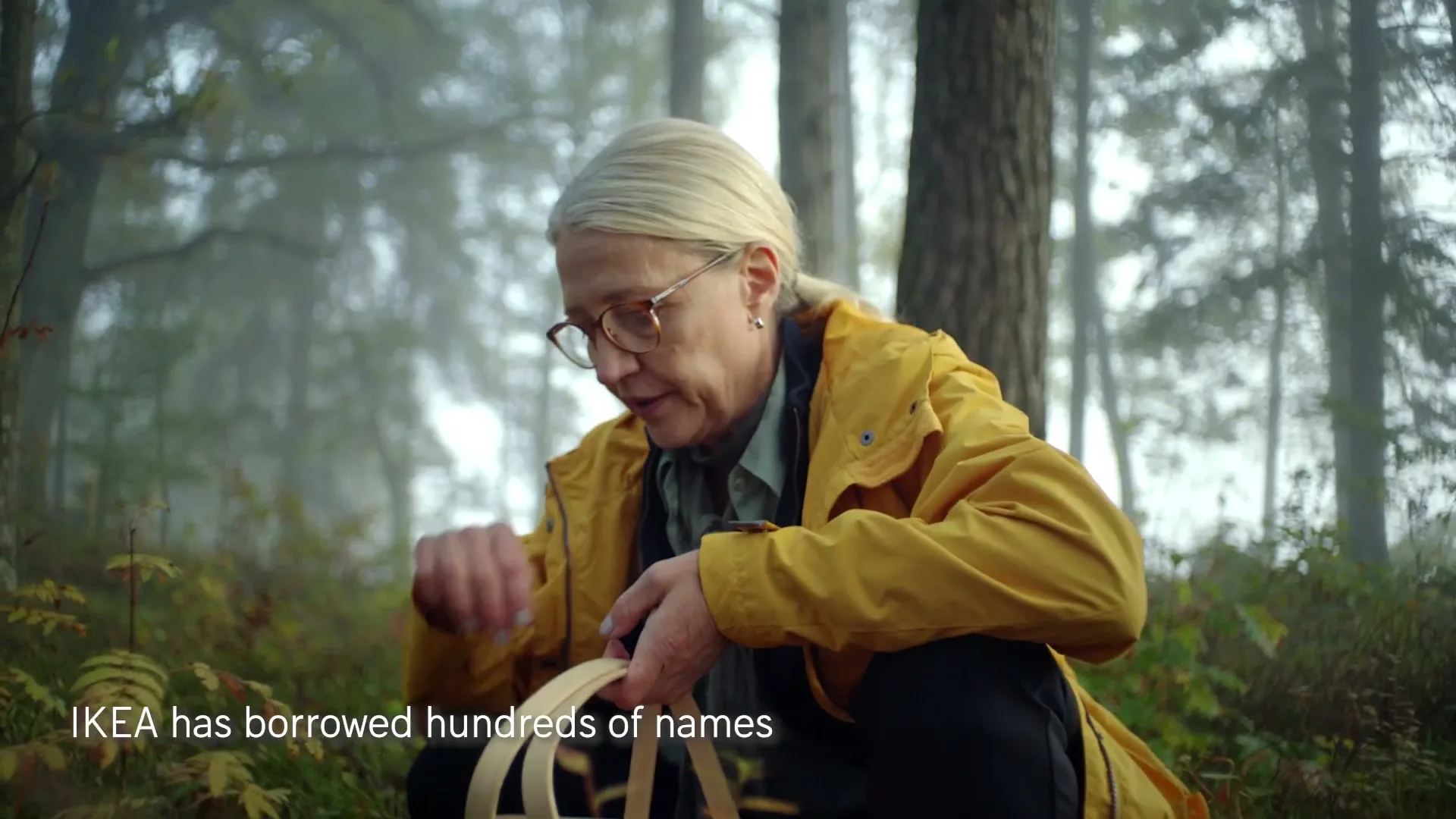 A blonde woman in her 60s, wearing a yellow raincoat and glasses, crouches in a misty forest, holding a mushroom and a basket.