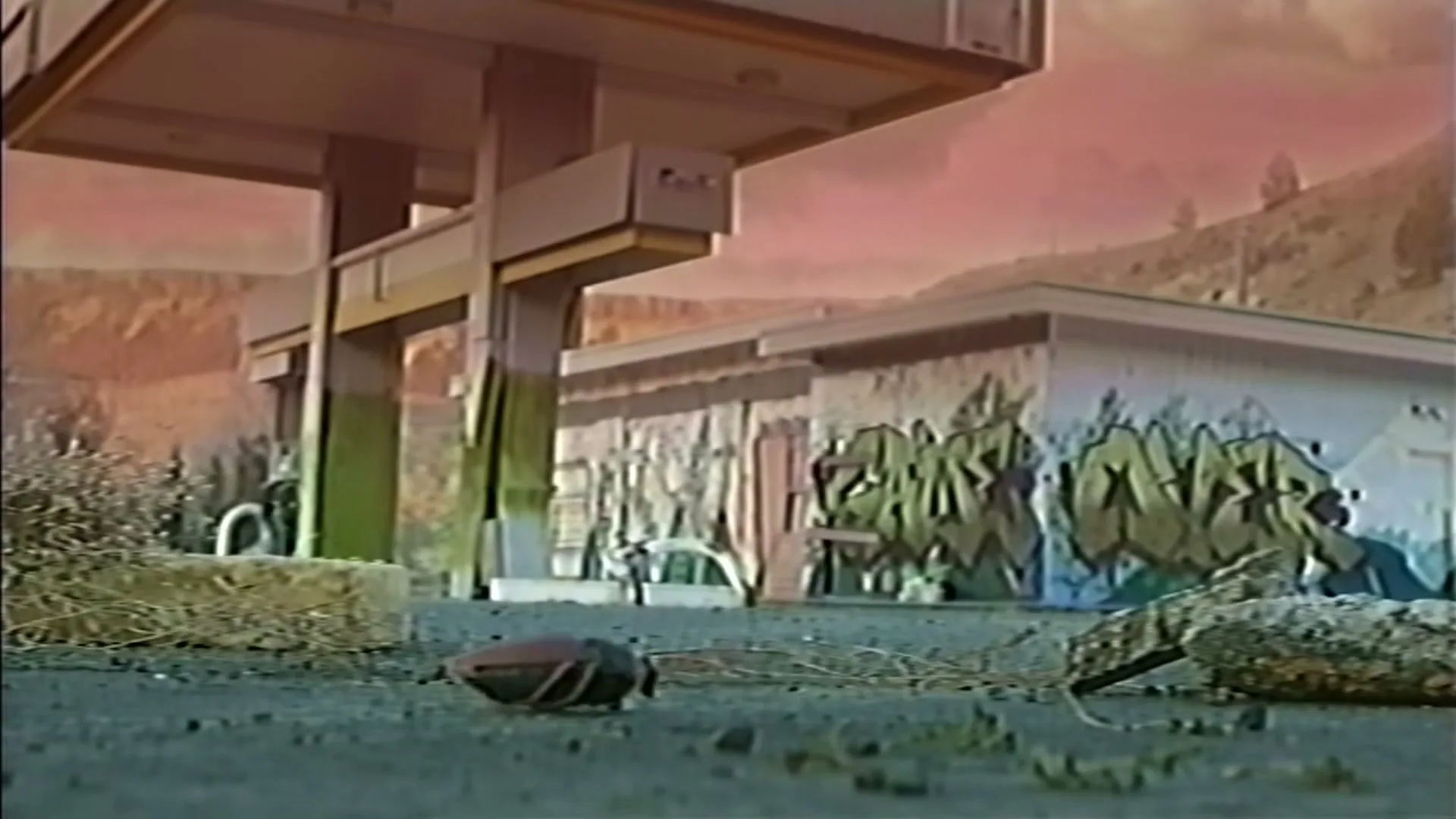 A low-angle shot of a desolate, graffiti-covered gas station with a reddish sky, as a beetle crawls across the foreground.