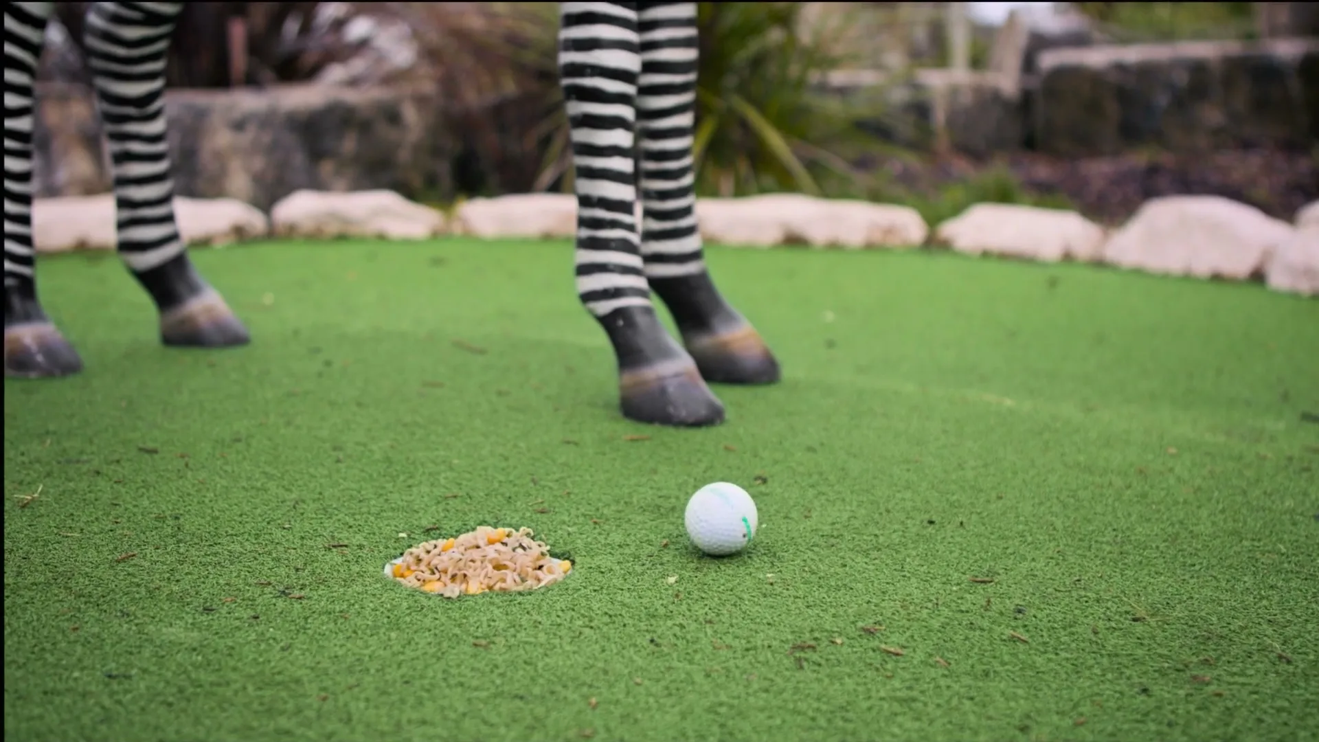 A golf ball rolls towards a hole filled with Pot Noodle, as two people in zebra-striped pants stand on a miniature golf course.
