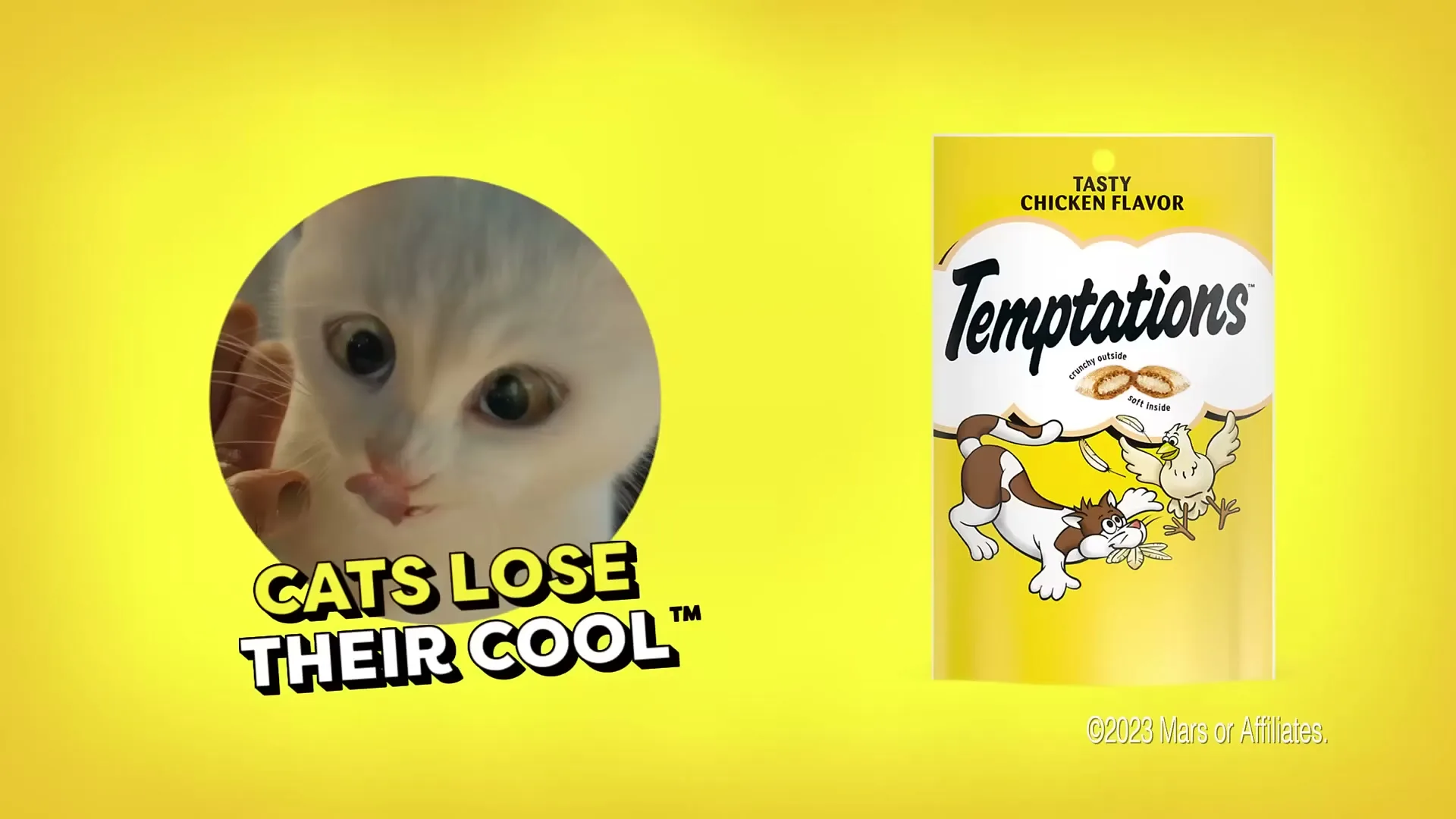 A white cat with wide eyes licks a treat from a human hand, while a product package and text are displayed on a bright yellow background.