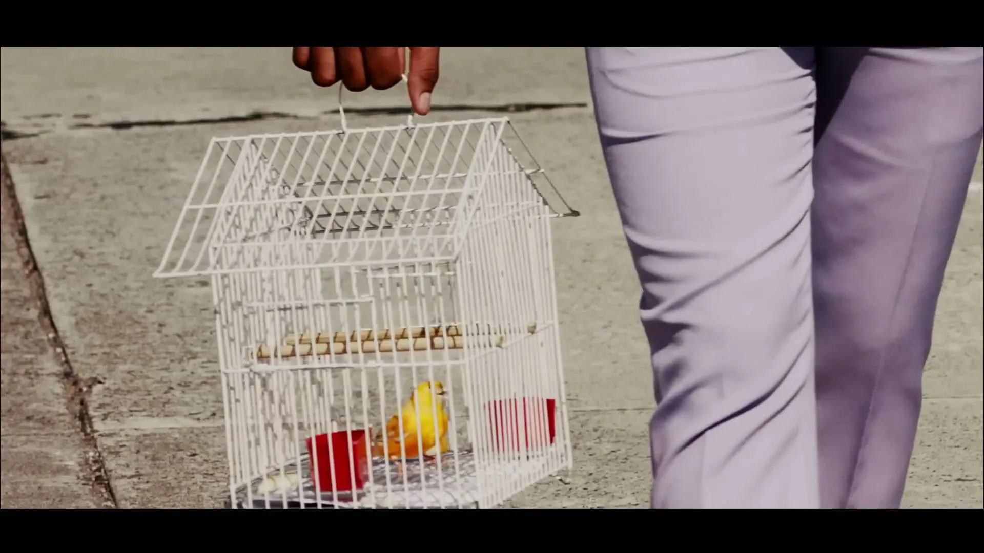 A person's hand holds a white birdcage with a yellow bird inside, walking on a paved surface in daylight.