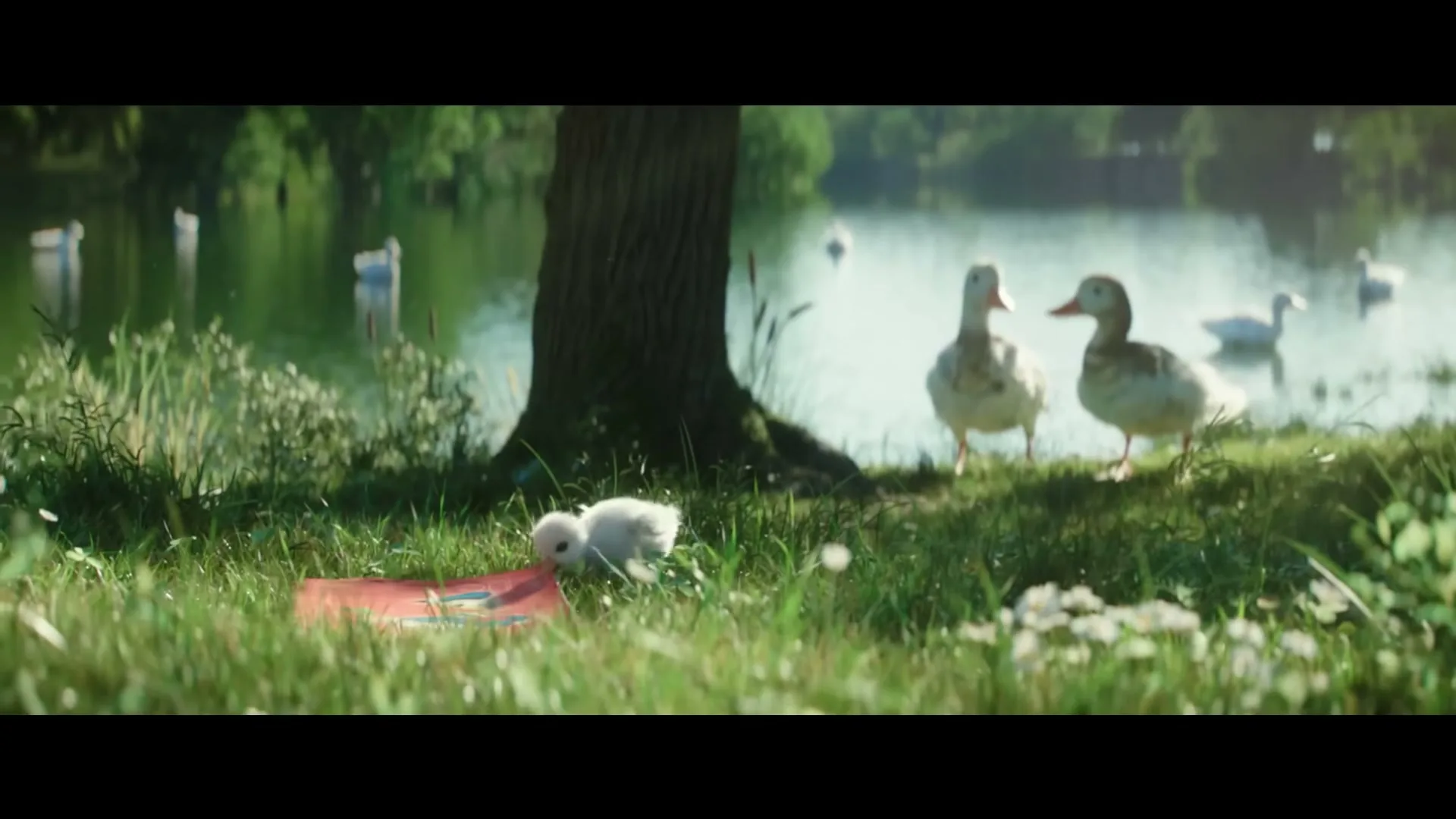 A small, fluffy white duckling pecks at a red book on the grassy bank of a pond, with adult ducks and swans in the background.