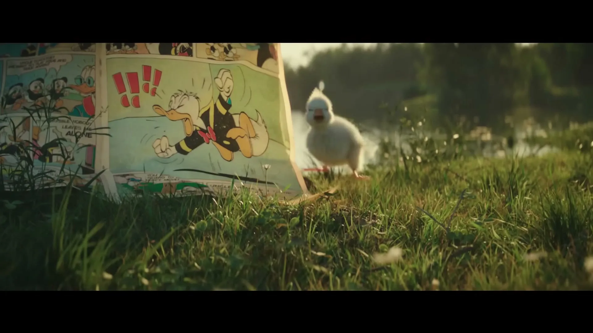 A fluffy white duckling waddles past a comic book page featuring Donald Duck, set in a grassy field by a lake at golden hour.