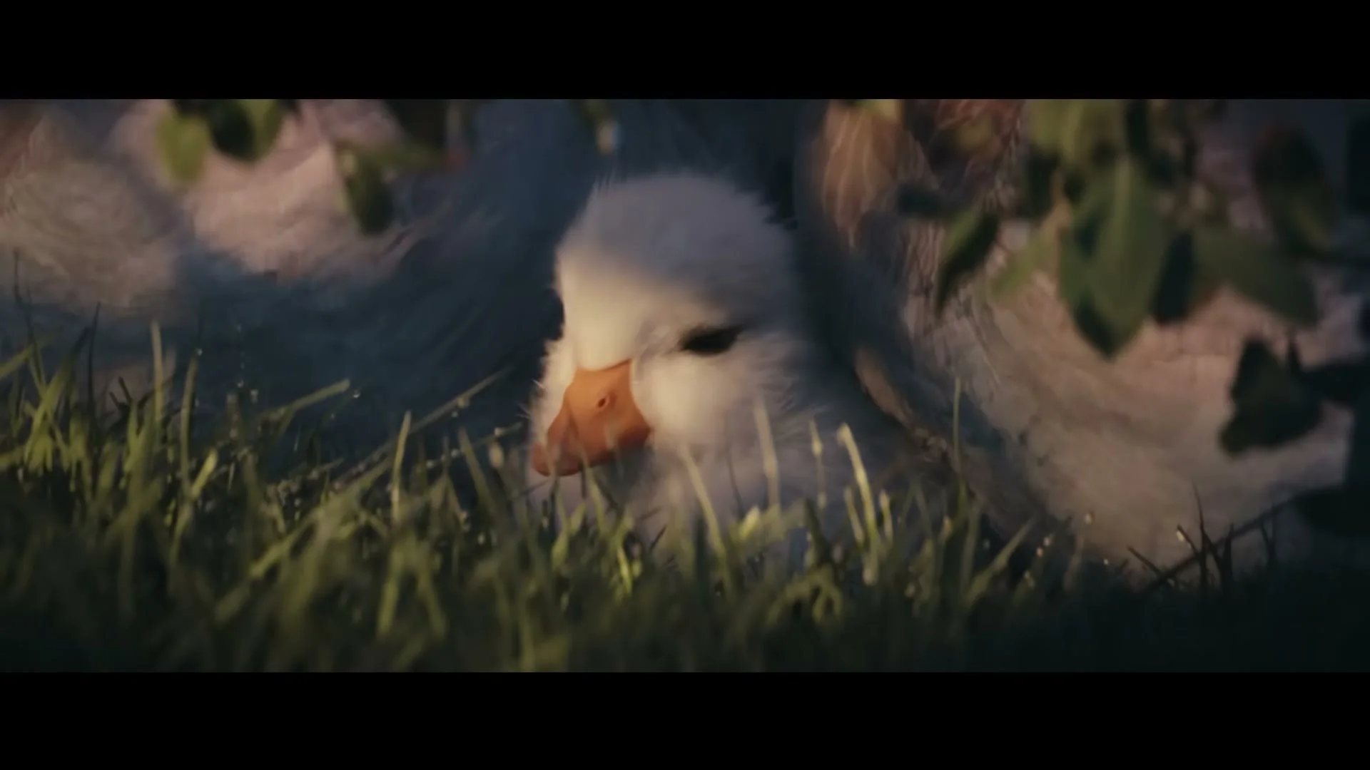 A fluffy white duckling with an orange beak sits in green grass, partially hidden by leaves, looking up with a curious expression.