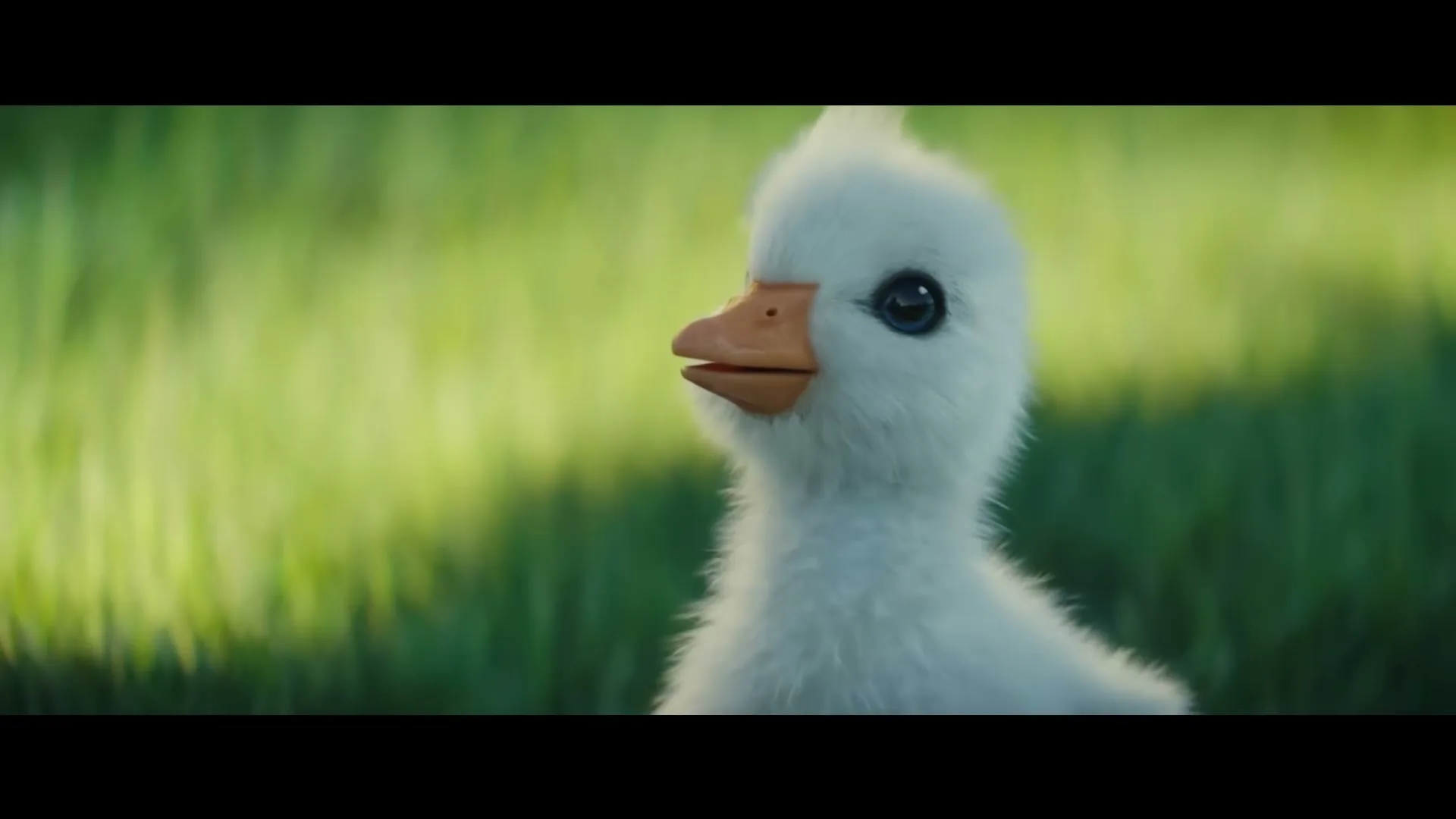 A cute, fluffy white duckling with blue eyes and an orange beak looks up and smiles, sitting in bright green grass.